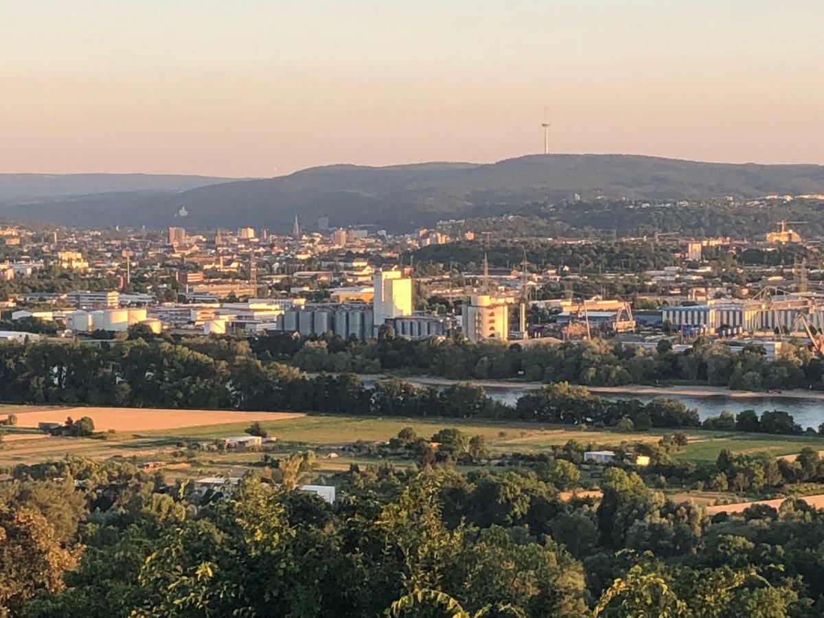 Humboldtruh Apartman Weitersburg Kültér fotó